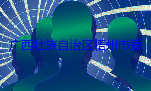 被查委副书记治区梧州市市长李振品广西壮族自